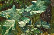 Burdock